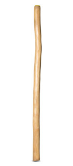 Natural Finish Didgeridoo (TW654)